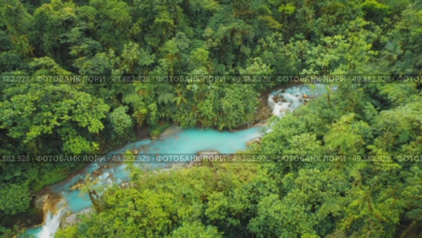 Turquoise water of Celeste River winding through dense rainforest in Costa Rica. Стоковое видео, видеограф Igor Tichonow / Фотобанк Лори