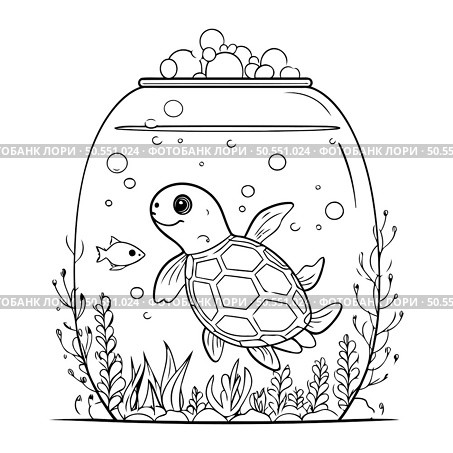 Turtle swimming in a glass aquarium. Vector illustration for coloring book. Стоковая иллюстрация, агентство Ingram Publishing / Фотобанк Лори
