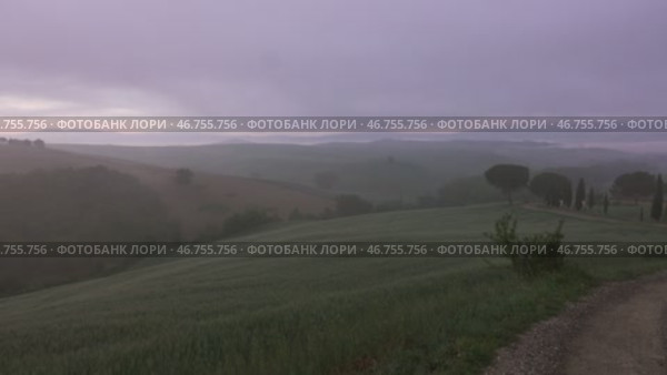 Tuscany panorama at dawn with cypress alley (2017 год). Стоковое видео, видеограф Михаил Коханчиков / Фотобанк Лори