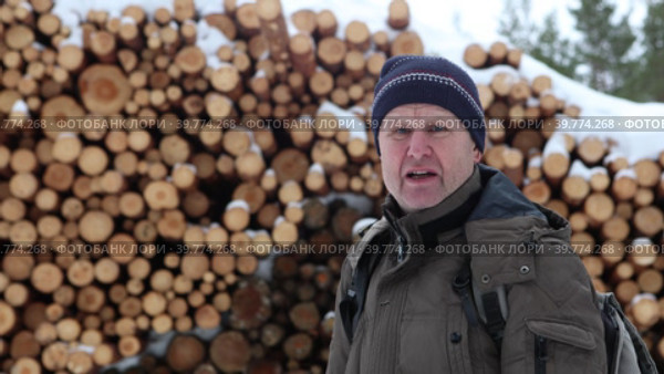 TV interview near timber, worker of logging company talks about lumber. Стоковое видео, видеограф Владимир Григорьев / Фотобанк Лори