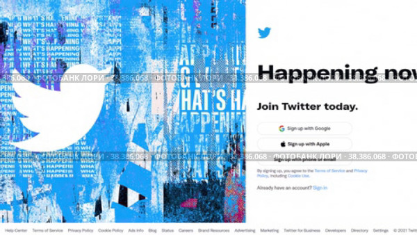 Twitter logo on pc screen. Редакционная анимация, аниматор FotograFF / Фотобанк Лори