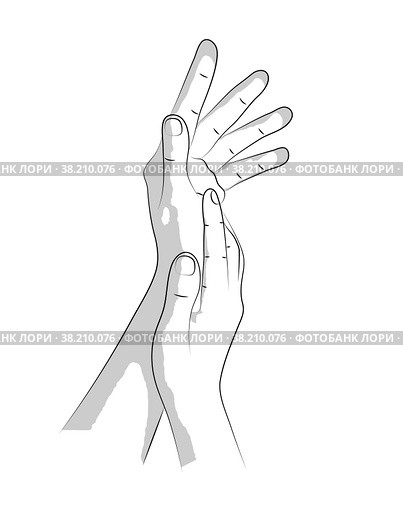 Two female hands in realistic gesture of stroking, rubbing and applying to skin moisturizing cream. Hand skin care to prolong health, beauty and youth. Skin care, nutrition and protection. Sketch. Две женские руки в реалистичном жесте поглаживания, растирания и нанесения на кожу увлажняющего крема. Уход за кожей рук для продления здоровья, красоты и молодости. Уход за кожей, питание и защита. Эскиз. Стоковая иллюстрация, иллюстратор Dmitry Domashenko / Фотобанк Лори