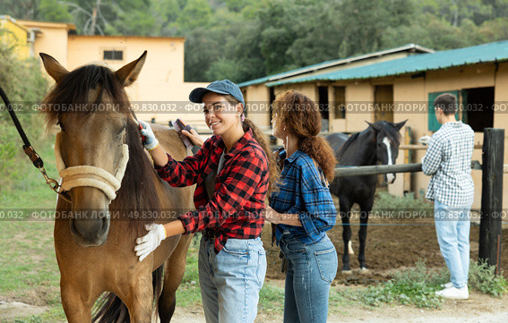 Two female workers in plaid shirt combs tethered horse in stable. Стоковое фото, фотограф Яков Филимонов / Фотобанк Лори