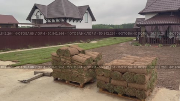 Укладывание рулонного газона во дворе частного дома. Стоковое видео, видеограф Антон Моргунов / Фотобанк Лори