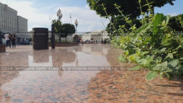 Улицы города, Редакционное видео, видеограф Станислав Симонов / Фотобанк Лори