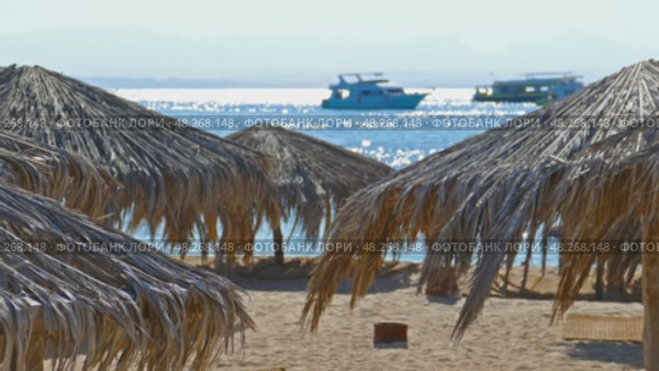 Umbrellas on beach at the luxury hotel, 4k. Стоковое видео, видеограф Михаил Коханчиков / Фотобанк Лори