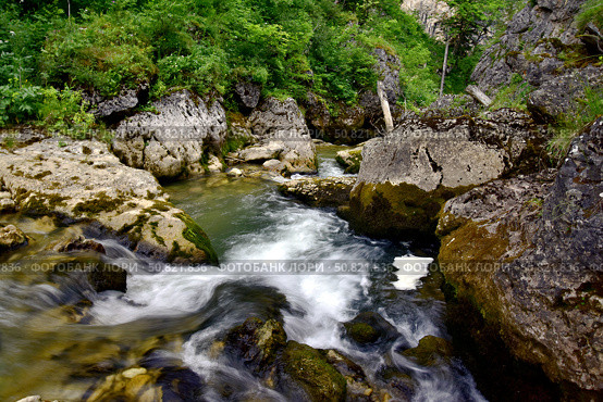 Ущелье реки Курджипс, Адыгея. Стоковое фото, фотограф Оглоблин Андрей Николаевич / Фотобанк Лори