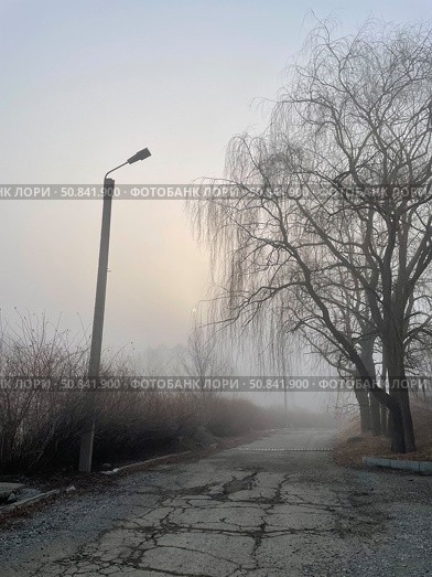 Утренний туман. Стоковое фото, фотограф Дарья Маркина / Фотобанк Лори