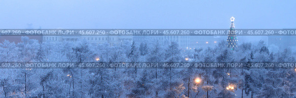 Утренний зимний городской пейзаж. Панорама с большой новогодней елью в заснеженном городском сквере. Красивая рождественская ёлка среди покрытых изморозью деревьев. Холодная погода. Морозный туман. Сказочное новогоднее и рождественское настроение. Город Иркутск, Иркутская область, Россия. Стоковое фото, фотограф Андрей Степанов / Фотобанк Лори