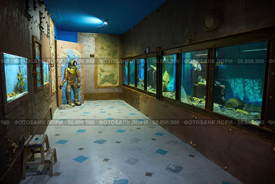 Utrish, Russia - September 07, 2022: Museum of the Black Sea Flora and Fauna. Редакционное фото, фотограф Наталия Кирсанова / Фотобанк Лори