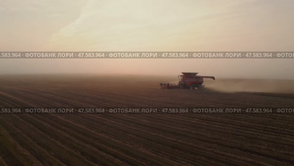 Утро в поле. Комбайн с сеялкой. Стоковое AI-видео, аниматор Екатерина Калита / Фотобанк Лори