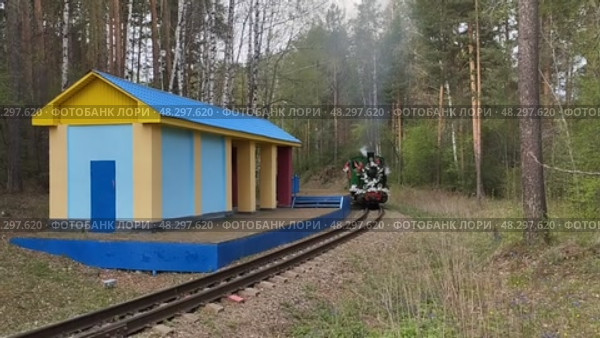 Узкоколейный паровоз Гр-318 тендером вперёд следует мимо площадки Солнечная, Свердловская ДЖД, ЦПКиО имени Маяковского, Екатеринбург. Редакционное видео, видеограф Алексей Иванов / Фотобанк Лори