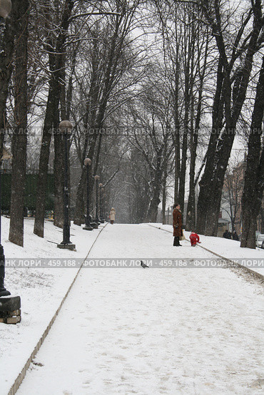 В парке Т.Шевченко (Киев) (2008 год). Редакционное фото, фотограф Никончук Алексей / Фотобанк Лори