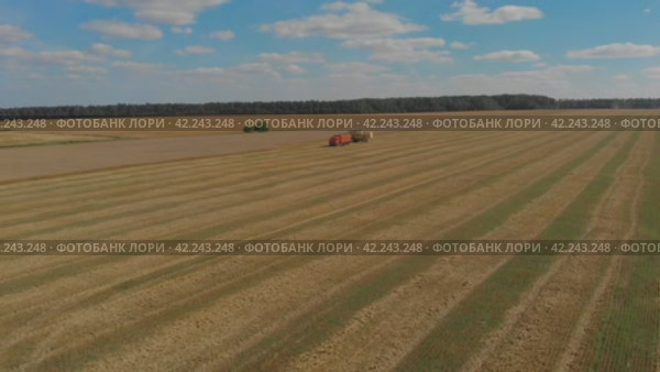 В поле. Стоковое видео, видеограф Максим Бойков / Фотобанк Лори