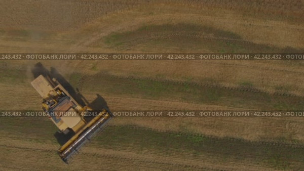 В поле. Стоковое видео, видеограф Максим Бойков / Фотобанк Лори