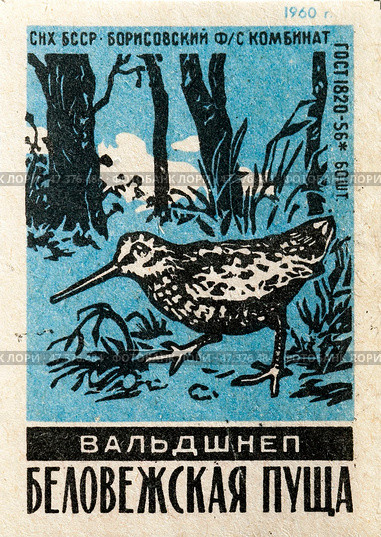 Вальдшнеп. Серия "Беловежская пуща". Спичечные этикетки СССР. 1960. Редакционное фото, фотограф Сергей Афанасьев / Фотобанк Лори