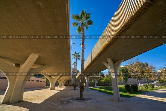 Valencia Pont de fusta bridge de Madera low angle view in Turia gardens park. Стоковое фото, агентство Ingram Publishing / Фотобанк Лори