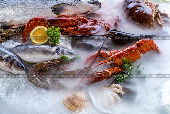 Variety of fresh luxury seafood, Lobster salmon mackerel crayfish prawn octopus mussel red snapper scallop and stone crab, on ice background with icy smoke in seafood market. Стоковое фото, агентство Ingram Publishing / Фотобанк Лори