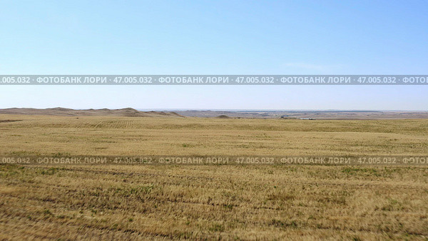 Vast Grasslands Stretch Beneath a Clear and Expansive Blue Sky Filled with Sunshine. Стоковое фото, фотограф David Kashakhi / Фотобанк Лори
