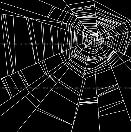 Vector white spider web isolated on the  black background. white spider web isolated on the  black background. Стоковая иллюстрация, агентство Ingram Publishing / Фотобанк Лори