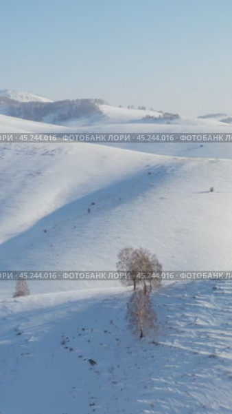 Vertical Aerial video from drone on winter snow landscape. Biryuksinsky mountain pass in Altai. Стоковое видео, видеограф Сергей Пристяжнюк (Serg Zastavkin) / Фотобанк Лори