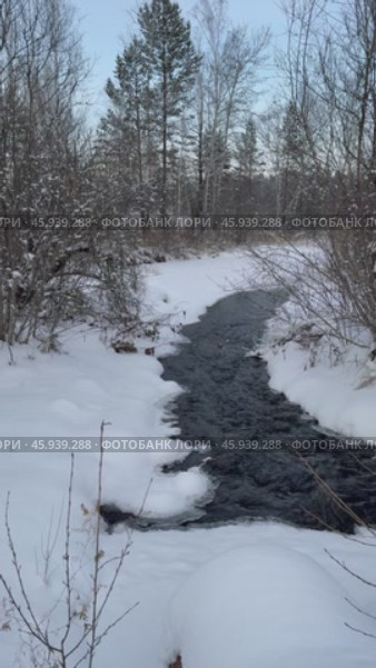 Vertical video of winter landscape with non-freezing stream into which natural springs and sources flow. Snow-covered river bank and forest. Winter travels and outdoors. Natural background. Стоковое видео, видеограф Виктория Катьянова / Фотобанк Лори