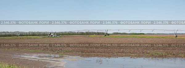 Весеннее поле с оросительной установкой. Стоковое фото, фотограф Олег Хархан / Фотобанк Лори