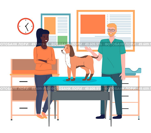 Veterinarian doctor holds dog on examination table. Pets health care in vet clinic. Domestic animals treatment concept. Veterinary professional consultation. Owner of dog communicates with doctor. Veterinarian doctor holds dog on examination table in vet clinic. Pets health care concept. Стоковая иллюстрация, агентство Ingram Publishing / Фотобанк Лори