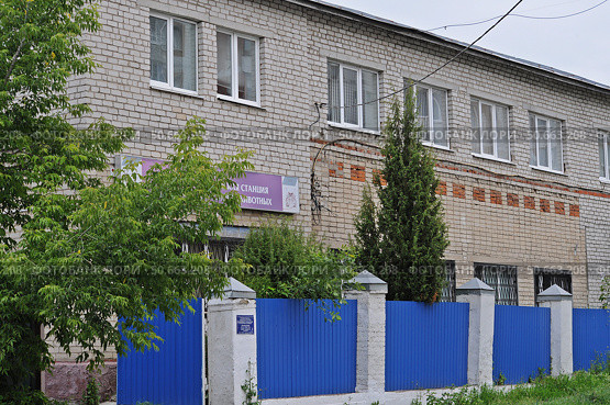 Ветеринарная клиника «Калужская городская станция по борьбе с болезнями животных» Редакционное фото, фотограф Лариса Вишневская / Фотобанк Лори