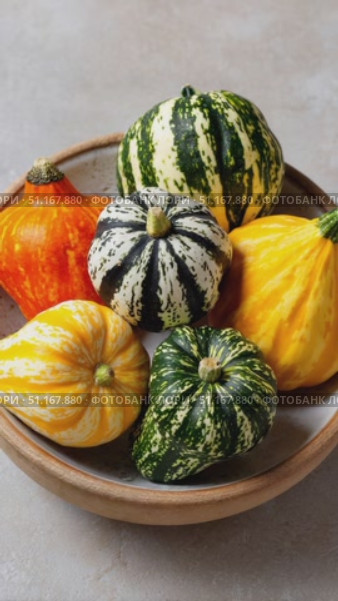 Vibrant, uniquely shaped gourds nestling inside ceramic bowl, gently turning on textured wooden surface, embodying seasonal harvest warmth and rustic autumn elegance. Стоковое AI-видео, аниматор Юрий Поздников / Фотобанк Лори