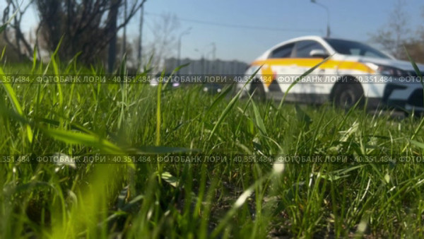 Вид на автодорогу в городе сквозь зеленую траву на на газоне.  Городской траффик. Стоковое видео, видеограф Ярославский Максим / Фотобанк Лори