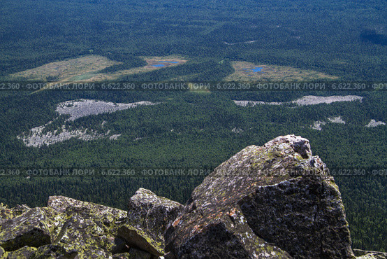 Вид на бесконечный сосновый лес с Большого Иремеля. Стоковое фото, фотограф Алексей Шлыков / Фотобанк Лори