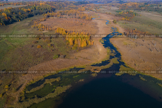 Вид на Изборско-Мальскую долину золотой осенью (аэрофотосъемка). Псковская область, Россия (2018 год). Редакционное фото, фотограф Виктор Карасев / Фотобанк Лори