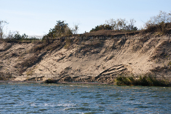 Вид на Куршскую косу со стороны Куршского залива. Вода размывает дюну (2012 год). Редакционное фото, фотограф Михаил Котов / Фотобанк Лори