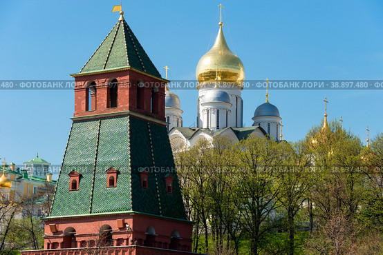 Вид на Московский Кремль, Благовещенский собор в летний день. Москва, Россия (2019 год). Стоковое фото, фотограф Pukhov K / Фотобанк Лори