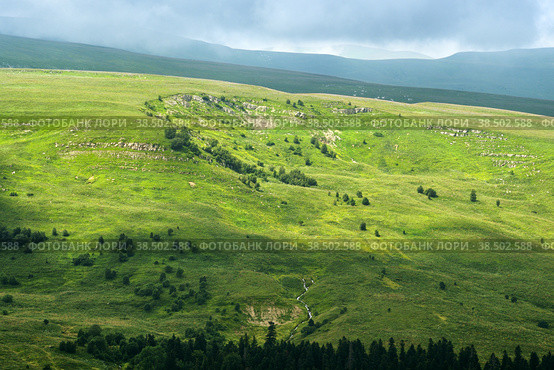 Вид на плато Лагонаки летом, Республика Адыгея, Россия. Редакционное фото, фотограф Садовский Анатолий / Фотобанк Лори