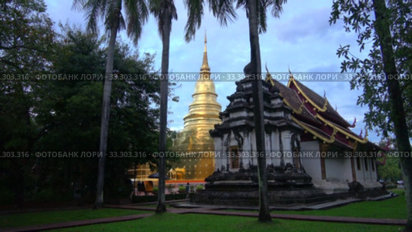 Вид на золотую ступу буддистского храма Wat Phra Singh. Чианг Май, Таиланд (2018 год). Стоковое видео, видеограф Виктор Карасев / Фотобанк Лори