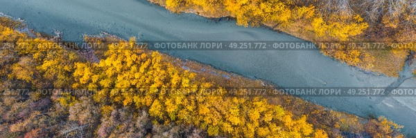 Вид сверху на русло реки и желтые кроны деревьев. Осенний панорамный аэрофотоснимок лесной реки. Осенний сезон. Красивый речной пейзаж. Природный фон. Широкая панорама. Стоковое фото, фотограф Андрей Степанов / Фотобанк Лори