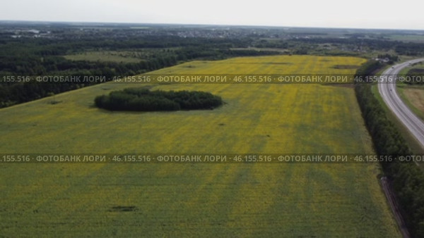 Video, conveying magic and charm of rural areas, is made in such way as to emphasize uniqueness of each frame and create atmosphere of comfort and heat, allowing viewer to plunge into world of harmony and peace. Стоковое видео, видеограф Скрипачев Антон / Фотобанк Лори
