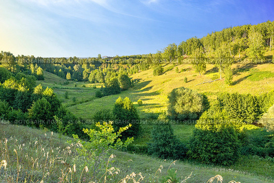 Виды города Касимова, Рязанская область. Бабенский овраг. (2024 год). Стоковое фото, фотограф Инна Грязнова / Фотобанк Лори