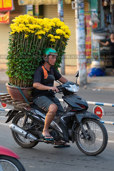 Vietnamese man with Tea flowers on scooter (2015 год). Редакционное фото, фотограф Александр Подшивалов / Фотобанк Лори