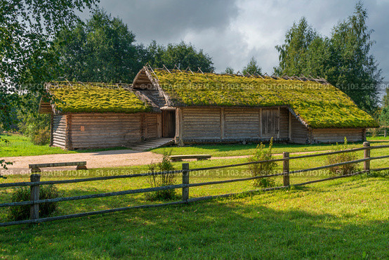 View of an old log farm building (threshing floor) in the Pushkin village of Bugrovo, Pushkin Museum-Reserve, on a sunny summer day, Pushkin Hills, Pskov Region, Russia. Стоковое фото, фотограф Ula Ulachka / Фотобанк Лори