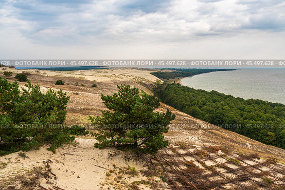 View of Cape Grabst from observation deck on Olenya Buda dunes. Curonian Spit National Park. Russia (2021 год). Редакционное фото, фотограф Elena Odareeva / Фотобанк Лори