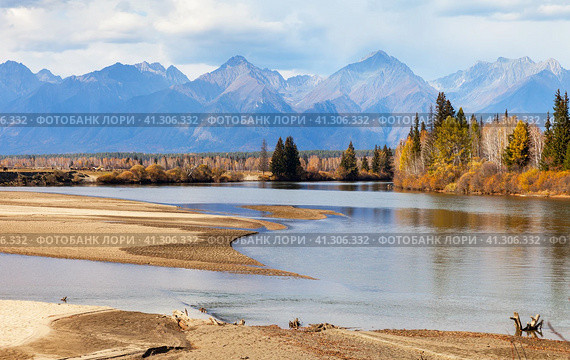 View of sandy bank of Irkut river, which has become shallow by autumn, yellowed forest along banks and Sayan mountain range in distance. Autumn landscape, natural background. Siberia, Buryatia, Tunka. Стоковое фото, фотограф Виктория Катьянова / Фотобанк Лори