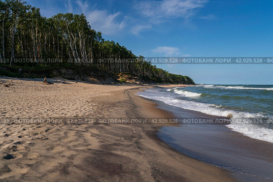 View of the Baltic Sea coast near the village of Lesnoy on the Curonian Spit on a sunny summer day, Kaliningrad region, Russia. Стоковое фото, фотограф Ula Ulachka / Фотобанк Лори
