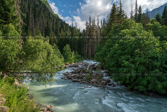 View of the Klukhor River near the Kosygin glade (Buulu Tala) in the Gonachkhir Gorge Dombai on a sunny summer day, Dombai, Karachay-Cherkessia, Russia. Стоковое фото, фотограф Ula Ulachka / Фотобанк Лори