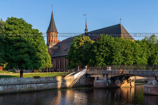 View of the Koningberg Cathedral on Immanuel Kant Island against the background of the Honey Bridge over the Pregolya River on a sunny summer day, Kaliningrad, Russia. Стоковое фото, фотограф Ula Ulachka / Фотобанк Лори