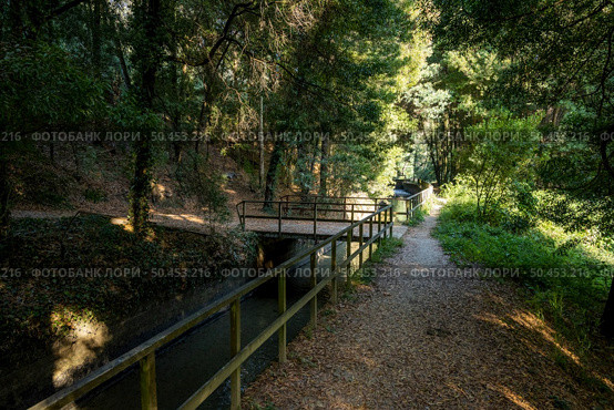 View of the pedestrian path along the Caima River weir in Palmaz, Oliveira de Azemeis, Portugal. Стоковое фото, агентство Ingram Publishing / Фотобанк Лори