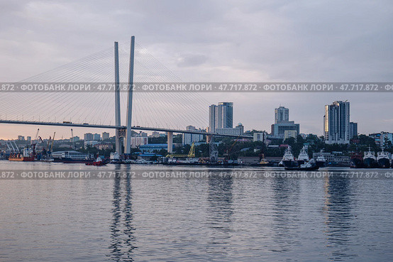 View of the zolotoy rog bay with the cable stayed bridge and modern buildings in vladivostok, russia. Стоковое фото, фотограф Mikhail Davidovich / Фотобанк Лори