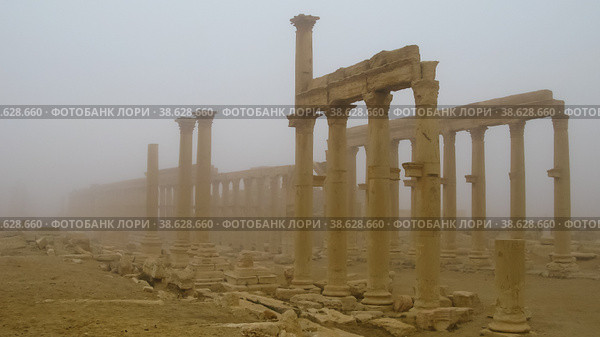 View to Palmyra columns in fog, Syria (2011 год). Стоковое фото, фотограф Сергей Майоров / Фотобанк Лори